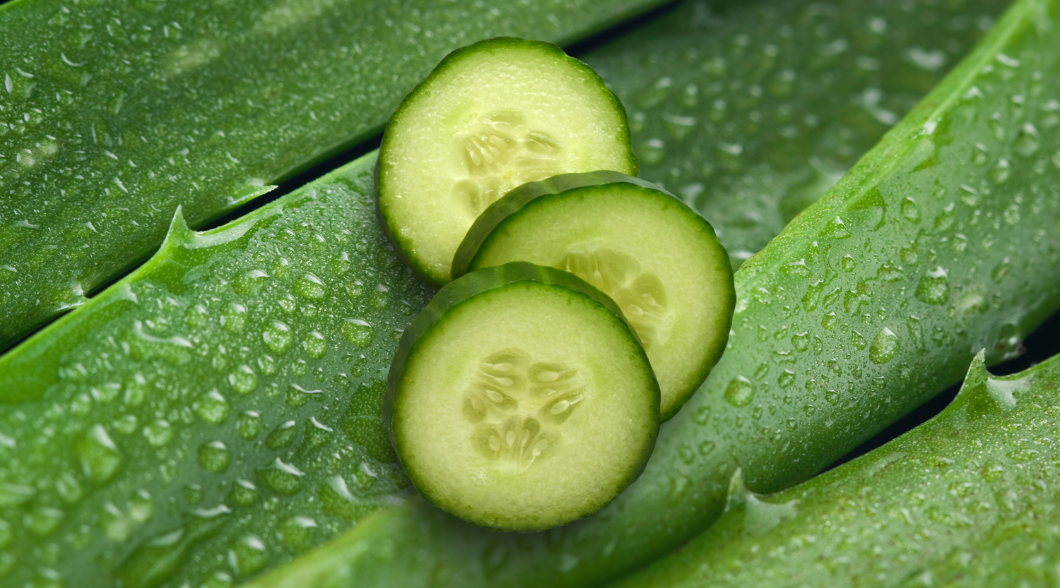 Revitalize and Hydrate: Aloe and Cucumber Leave-In Conditioner Explained